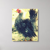 Frizzle Rooster Canvas Afdruk (Voorkant)