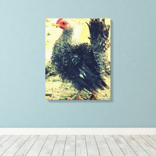 Frizzle Rooster Canvas Afdruk (Insitu (Houten vloer))