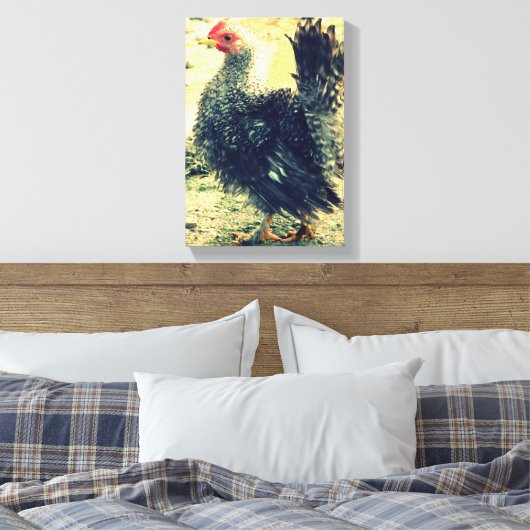 Frizzle Rooster Canvas Afdruk (Insitu (Slaapkamer))