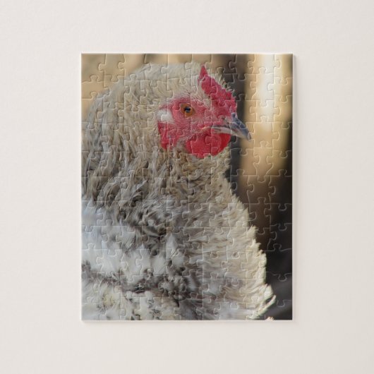 Frizzle Rooster Legpuzzel (Verticaal)