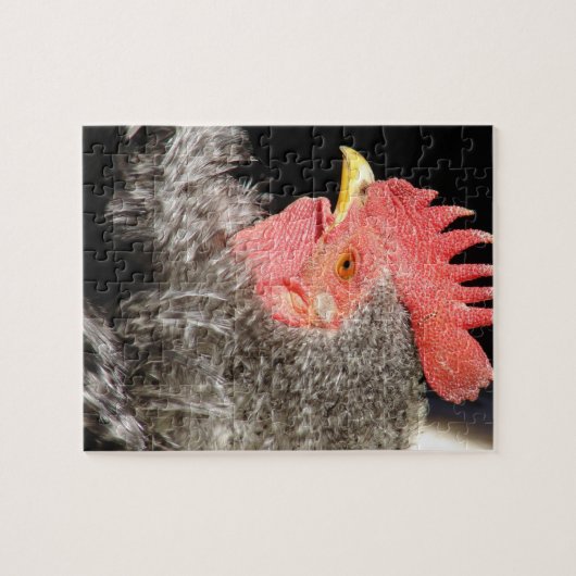 Frizzle Rooster Legpuzzel (Horizontaal)