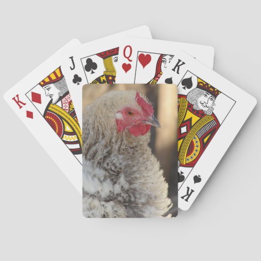 Frizzle Rooster Pokerkaarten (Achterkant)
