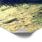 Frizzle Rooster Poster (Hoek)