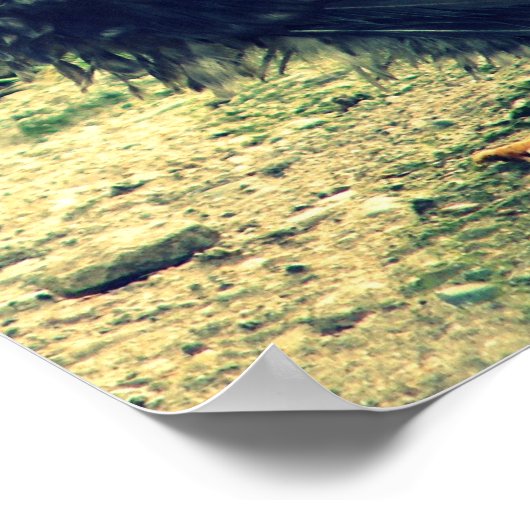 Frizzle Rooster Poster (Hoek)