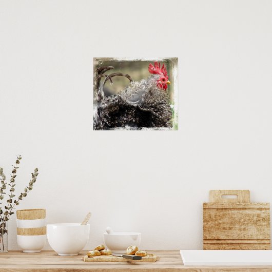 Frizzle Rooster Poster (Keuken)