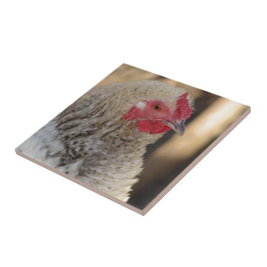 Frizzle Rooster Tegeltje (Zijkant)