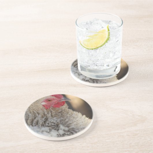 Frizzle Rooster Zandsteen Onderzetter (Zijkant)