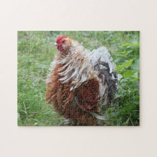 Frizzle Sizzle Fluffy Rooster in het gras Legpuzzel