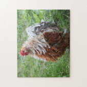 Frizzle Sizzle Fluffy Rooster in het gras Legpuzzel (Verticaal)