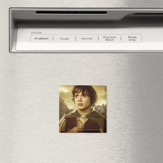 FRODO™ Golden Magneet (Insitu (Vaatwasser))