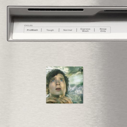 FRODO™ Holding Ring Magneet (Insitu (Vaatwasser))