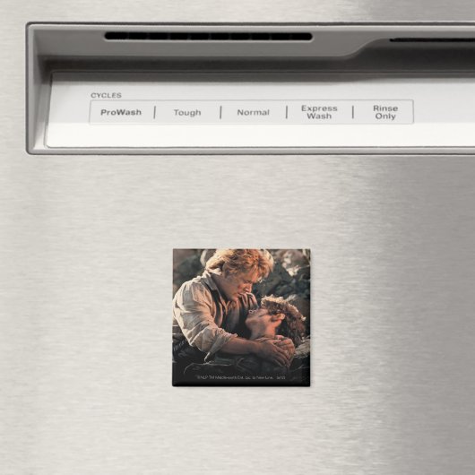 FRODO™ in de armen van Samwise Magneet (Insitu (Vaatwasser))