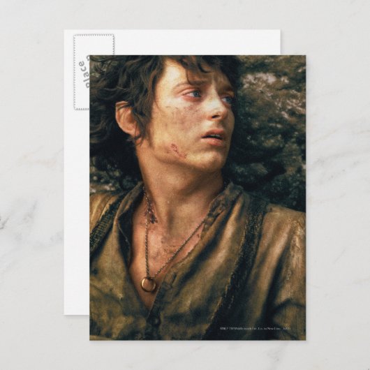 FRODO™ in Despair Briefkaart (Voorkant / Achterkant)