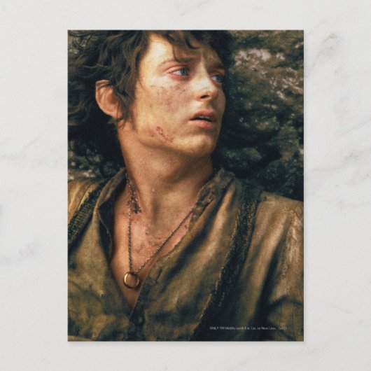 FRODO™ in Despair Briefkaart (Voorkant)
