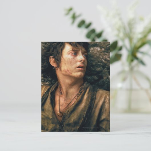 FRODO™ in Despair Briefkaart (Staand voorkant)