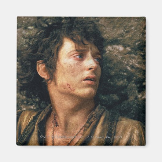 FRODO™ in wanhoop Magneet (Voorkant)