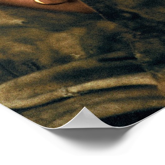 FRODO™ in wanhoop Poster (Hoek)