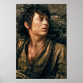 FRODO™ in wanhoop Poster (Voorkant)