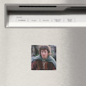 FRODO™ MAGNEET (Insitu (Vaatwasser))