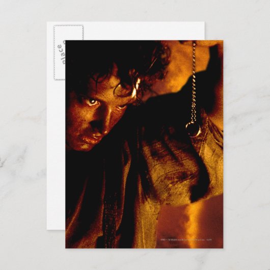 FRODO™ Stares at Ring Briefkaart (Voorkant / Achterkant)