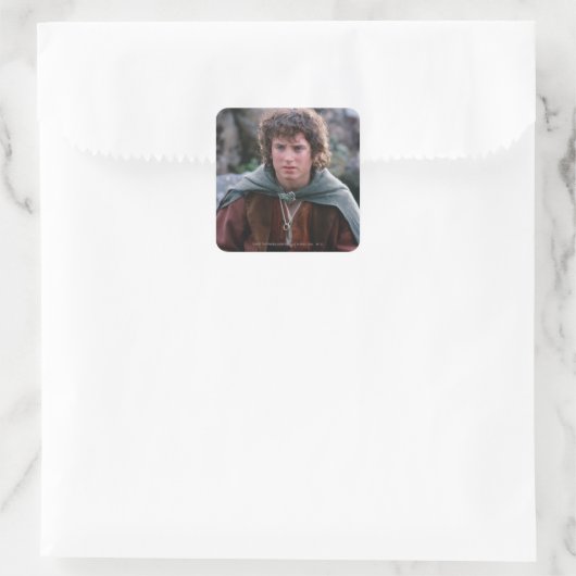 FRODO™ VIERKANTE STICKER (Tas)