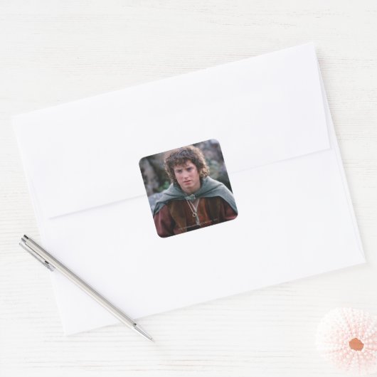 FRODO™ VIERKANTE STICKER (Envelop)