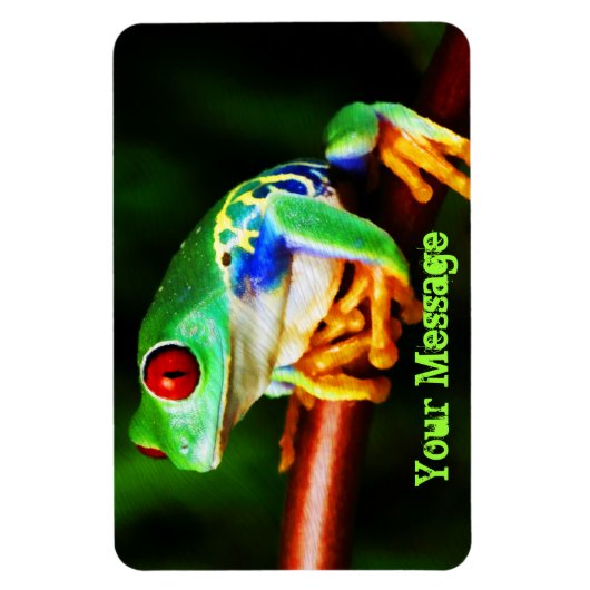 Frog 1 Premium magneet (Verticaal)