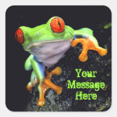 Frog 3 Sticker (Voorkant)