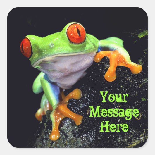 Frog 3 Sticker (Voorkant)