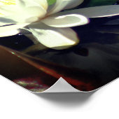 Frog Admiring Water Lily Poster (Hoek)