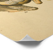 Frog Anatomy Print Paul Pfurtscheller (Hoek)