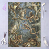 Frog and toad Ernst Haeckel vintage Tissuepapier (Craft)