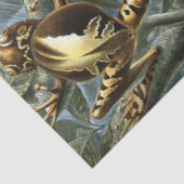 Frog and toad Ernst Haeckel vintage Tissuepapier (Detail)