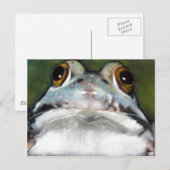 FROG BRIEFKAART (Voorkant / Achterkant)