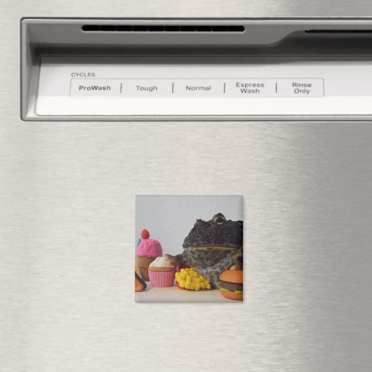 Frog Cut Magneet (Insitu (Vaatwasser))