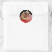 Frog Cut Ronde Sticker (Tas)
