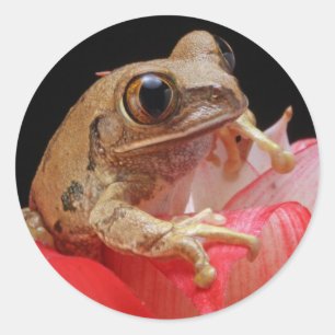 Frog Cut Ronde Sticker