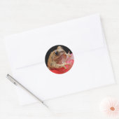 Frog Cut Ronde Sticker (Envelop)