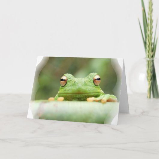 Frog Eyes Wenskaart Kaart (Voorkant)