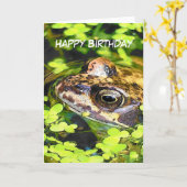 FROG KAART (Gele Bloem)