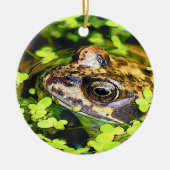 FROG KERAMISCH ORNAMENT (Voorkant)
