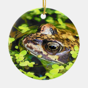 FROG KERAMISCH ORNAMENT