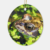 FROG KERAMISCH ORNAMENT (Links)