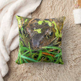 FROG KUSSEN