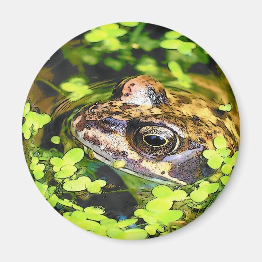 FROG MAGNEET (Voorkant)