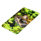FROG MAGNEET (Linkerzijde)