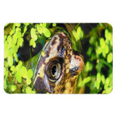 FROG MAGNEET (Horizontaal)