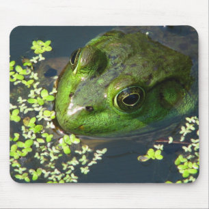 Frog Mousepad Muismat