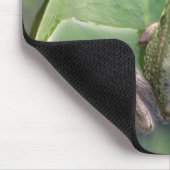 Frog Mousepad Muismat (Hoek)