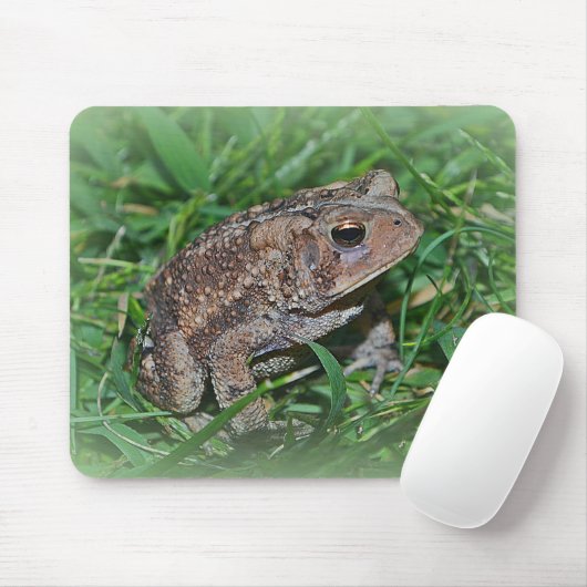 Frog Mousepad Muismat (Met muis)